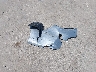 ML32F4FJ1LH****** Destrozados 2020 Mitsubishi Mirage en Estado de Texas