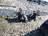 KMHLL4DG9RU****** Wrecked 2024 Hyundai Elantra in Illinois State