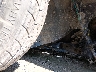 KMHLL4DG9RU****** Salvage and Wrecked 2024 Hyundai Elantra in Illinois State