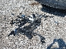 1FTEW1E87PF****** Destrozados 2023 Ford F-150 en Estado de Missouri