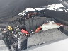 7FARS6H84RE****** Repairable 2024 Honda CR-V Hybrid in Nashville