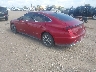KMHL24JJ0PA****** Salvamento y Reparables 2023 Hyundai Sonata Hybrid en Corpus Christi