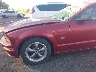 1ZVFT82H865****** Salvage and Wrecked 2006 Ford Mustang in Salt Lake City