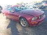 1ZVFT82H865****** Salvage and Wrecked 2006 Ford Mustang in Salt Lake City