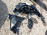 2GNAXKEVXM6****** Wrecked 2021 Chevrolet Equinox in Texas State