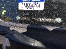 5FNRL38746B****** Salvage 2006 Honda Odyssey in New York State