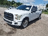 1FTEX1CF6GF****** Usados y Reparables 2016 Ford F-150 en Orlando
