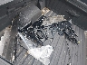 3GCUKFED7SG****** Wrecked 2025 Chevrolet Silverado 1500 in Ohio State