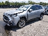 JTMY1RFV0MD****** Used and Repairable 2021 Toyota RAV4 in Lexington
