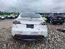 5YJYGDEE2LF****** Salvamento 2020 Tesla Model Y