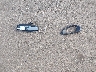 1GNDS13S672****** Wrecked 2007 Chevrolet Trailblazer in Mississippi State