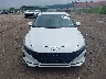 5NPLS4AG7PH****** Wrecked 2023 Hyundai Elantra in Pennsylvania State