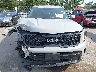 5XYP3DGC2RG****** Wrecked 2024 Kia Telluride in New York State