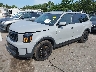5XYP3DGC2RG****** Used and Repairable 2024 Kia Telluride in Long Island