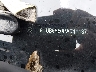 19UUB6F50PA****** Destrozados 2023 Acura TLX