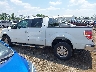 1FTFW1EF6EK****** Salvage 2014 Ford F-150