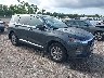 5NMS23AD4KH****** Salvage and Wrecked 2019 Hyundai Santa Fe in Tampa North