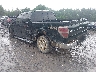 1FTFW1ET0DK****** Salvage and Repairable 2013 Ford F-150 in Albany