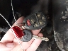 1GKUKMEF0AR****** Salvage 2010 GMC Yukon XL in South Dakota State