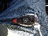 WDDGF8BB3CA****** Salvamento 2012 Mercedes-Benz C 300 en Estado de Rhode Island