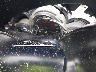 JYASJ07Y29A****** Salvage 2009 Yamaha TMAX 500 in Rec Rides Online Exclusive