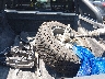1GCGTEEN3M1****** Wrecked 2021 Chevrolet Colorado in Texas State