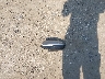 KMHLM4AG2MU****** Wrecked 2021 Hyundai Elantra in Indiana State