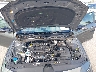 KMHLM4DG0SU****** Reparables 2025 Hyundai Elantra en Tampa