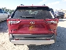 2T3J1RFV2MW****** Destrozados 2021 Toyota RAV4