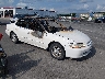 1HGCG565XYA****** Salvamento y Destrozados 2000 Honda Accord en Saint Louis