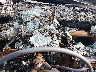 1HGCG565XYA****** Salvamento 2000 Honda Accord en Saint Louis