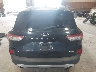 1FMCU9G66MU****** Usados 2021 Ford Escape
