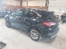 1FMCU9G66MU****** Salvamento y Reparables 2021 Ford Escape en Newburgh