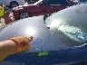 3MZBPACM5SM****** Salvage and Repairable 2025 Mazda 3 in Texas State