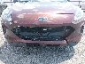1FMCU0G69MU****** Salvamento y Reparables 2021 Ford Escape en Estado de Arkansas