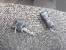 1N6AD07U66C****** Salvamento 2006 Nissan Frontier en Estado de Massachusetts