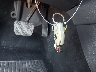 WDCTG4EB7LU****** Salvage 2020 Mercedes-Benz GLA-Class in Texas State