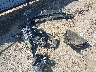1GNERHKW8PJ****** Wrecked 2023 Chevrolet Traverse in Oklahoma State
