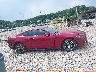 1FA6P8TH6G5****** Reparables 2016 Ford Mustang en Estado de Kentucky