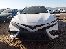 4T1G11AK6PU****** Destrozados 2023 Toyota Camry en Estado de Arizona