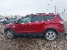1FMCU0GX0EU****** Salvamento 2014 Ford Escape