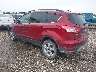 1FMCU0GX0EU****** Salvamento y Reparables 2014 Ford Escape en Houston North