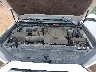 JTEBU5JR6K5****** Reparables 2019 Toyota 4Runner en Springfield