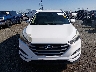 KM8J23A49HU****** Used 2017 Hyundai Tucson in Arkansas State