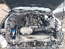1FA6P8TH5P5****** Reparables 2023 Ford Mustang en Houston North