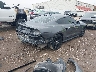 1FA6P8TH5P5****** Salvamento y Destrozados 2023 Ford Mustang en Estado de Texas