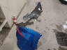 5NPD84LF1JH****** Wrecked 2018 Hyundai Elantra in Idaho State