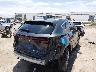 2T2GGCEZXSC****** Salvamento y Destrozados 2025 Lexus NX 350 en Estado de Texas