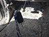 1FT8W3BT0KE****** Used 2019 Ford F-350 in Dallas