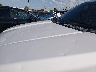 1FTEW1EP1FK****** Salvage and Repairable 2015 Ford F-150 in Colorado State